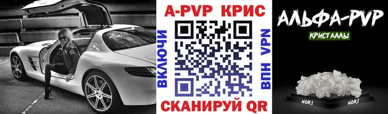 Альфа ПВП СК КРИС  Гаврилов-Ям 