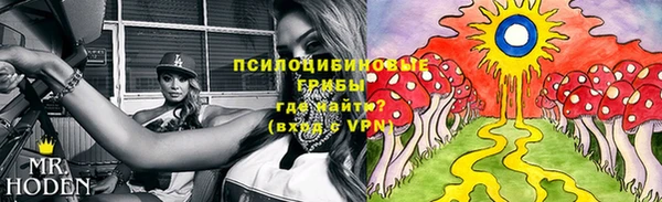 прущая мука Верея