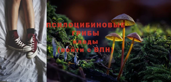 прущая мука Верея