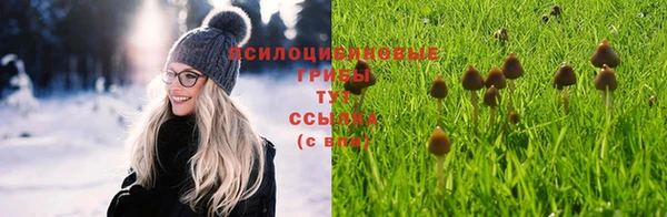 трава Верхний Тагил