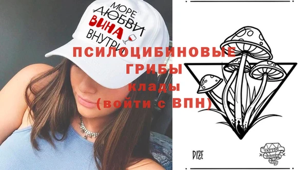 прущая мука Верея
