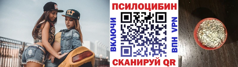 Галлюциногенные грибы Cubensis  сколько стоит  Гаврилов-Ям 